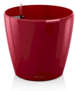 Lechuza Classico Premium - Modelo 70