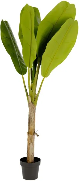 Banano, Planta artificial, verde/preto, H160x90x90 cm