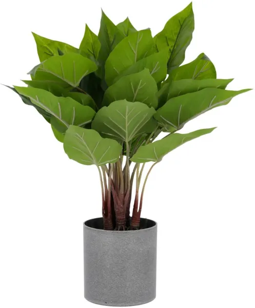 Anthurium, Planta artificial, verde/cinzento, A50x40x40 cm