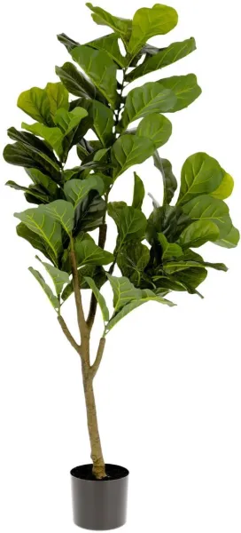 Ficus, Planta artificial, verde/preto, H150x60x60 cm