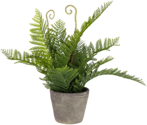Filicopsida, Planta artificial, verde/cinzenta, H35x40x40 cm