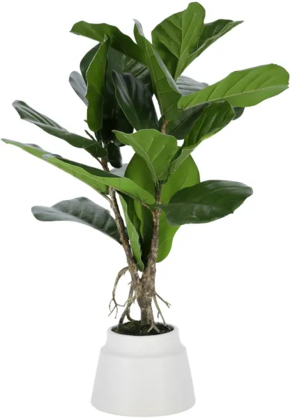 Lyrata, Planta artificial, verde/branca, H60x30x30 cm