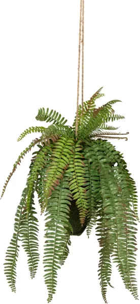 Feto, Planta artificial, verde, H58x30x30 cm