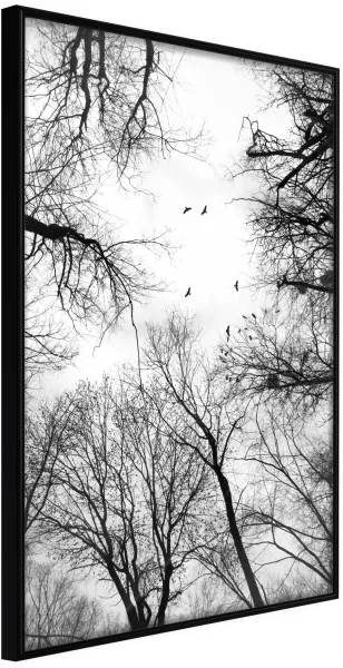 ARTGEIST Póster com moldura - Treetops Preto 40x60