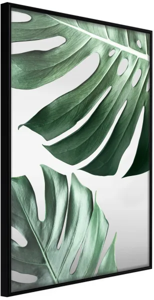 ARTGEIST Póster com moldura - Leaves Like Swiss Cheese Preto 30x45